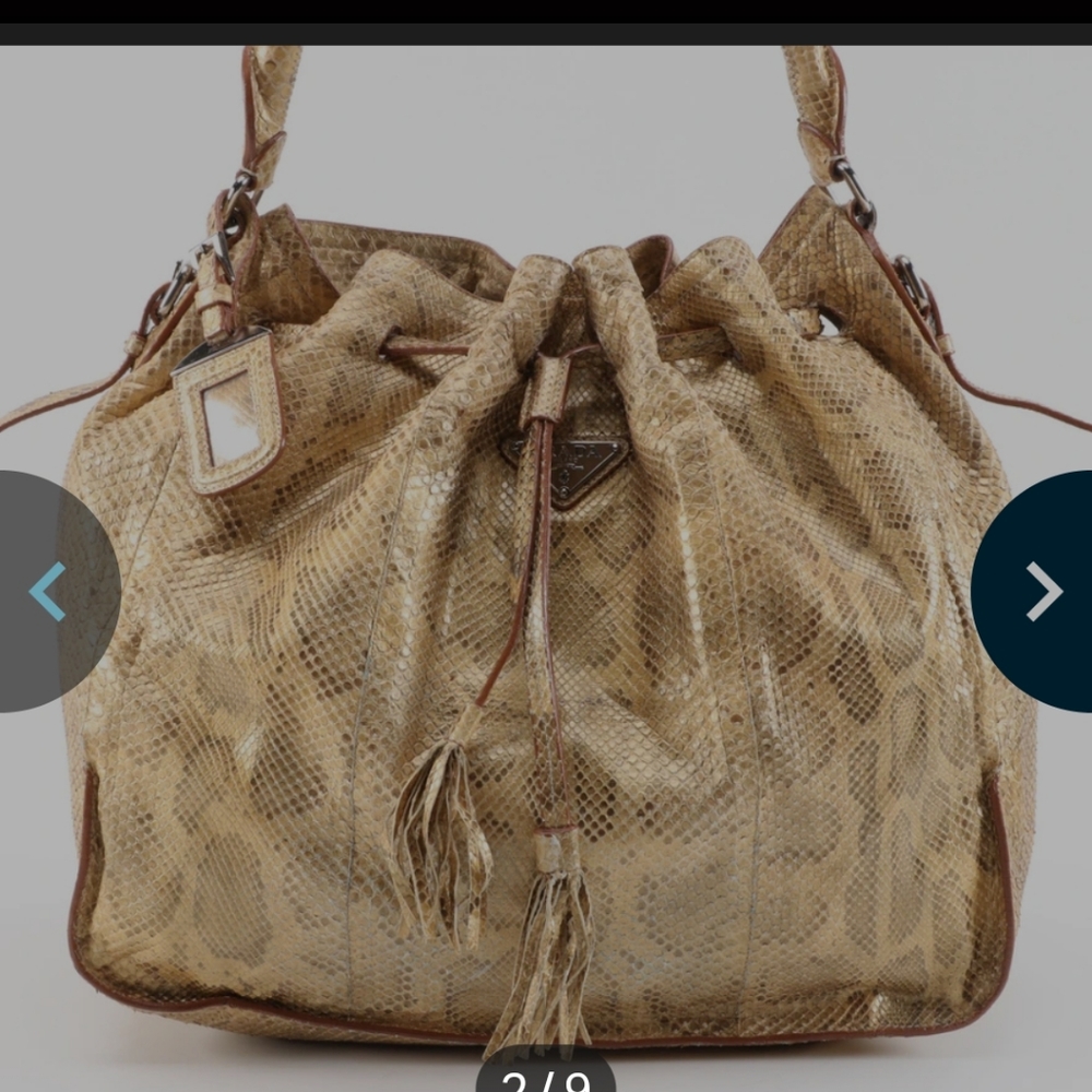 Prada Python Skin Purse